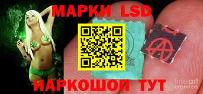 МДПВ Обнинск