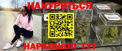 прущие грибы Обь